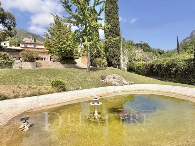 Le Bar sur loup