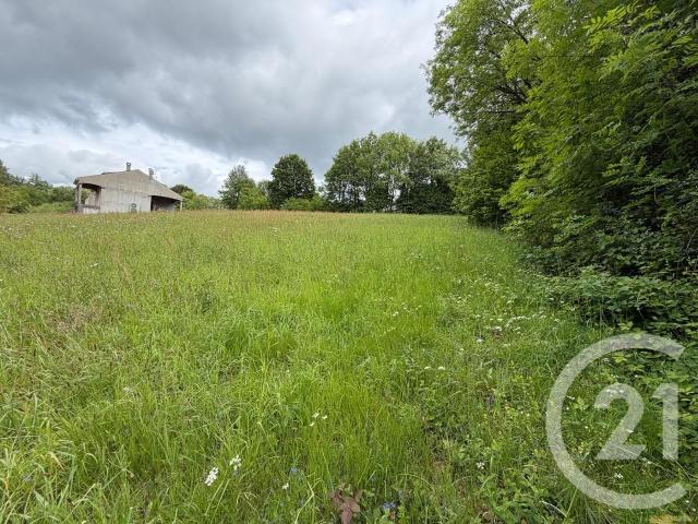 Le Bez Vente Terrain 81