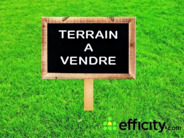 Le Bois Plage en Ré Vente Terrain 17