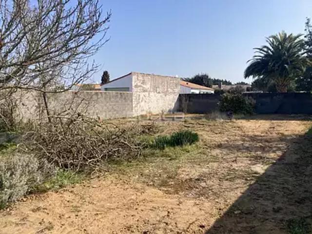 Le Bois Plage en Ré 17580 Achat / Vente terrain