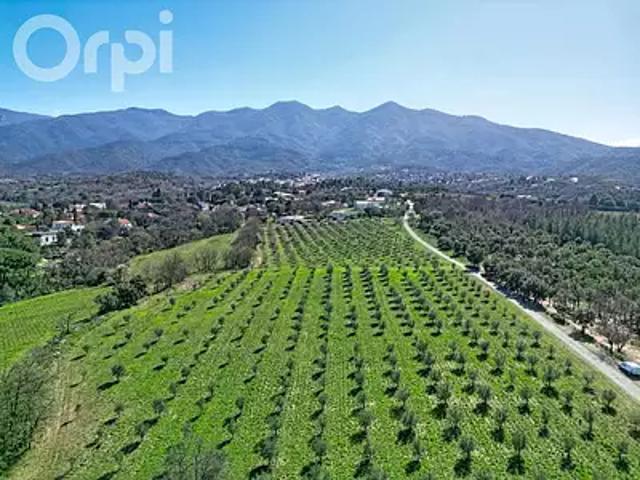 Le Boulou 66160 Achat / Vente maison 5 pièces t5 jardin terrasse