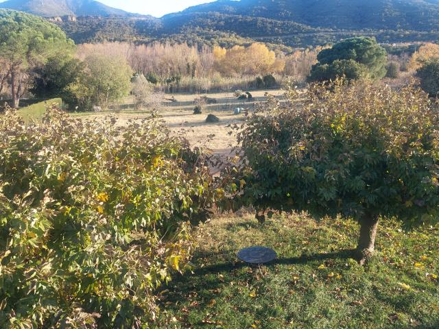 Le Boulou, Villa 4 faces type F8, 200 m2 habitables sur 2880 m2 arborés, division possible