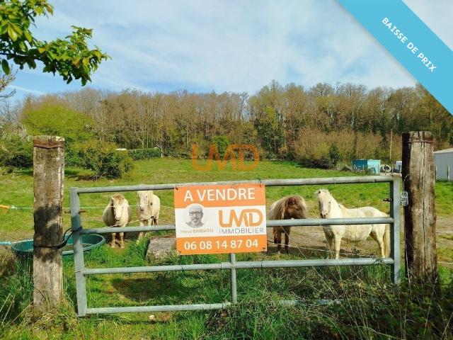 Le Blanc Vente Terrain 36