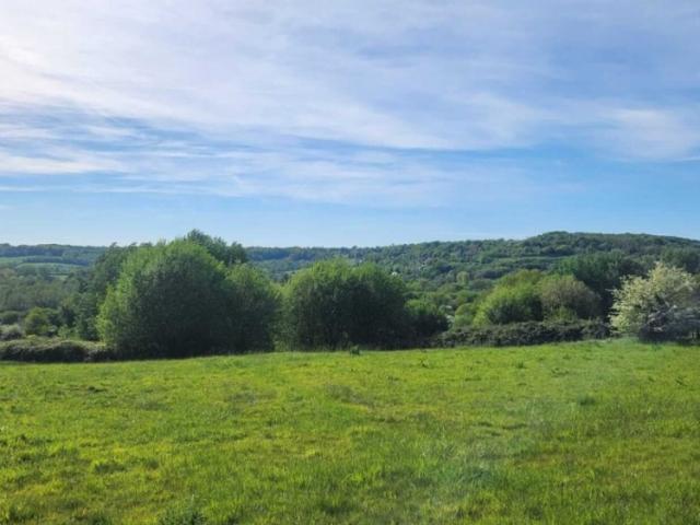 Le Breuil en Auge Vente Terrain 14