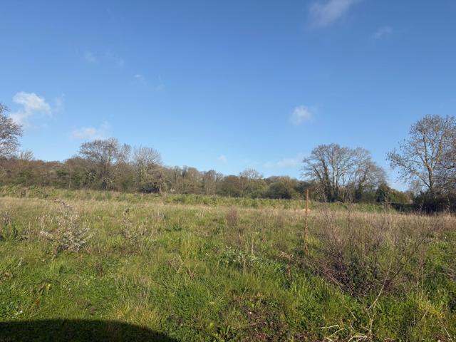 Le Breuil en Auge Vente Terrain 14
