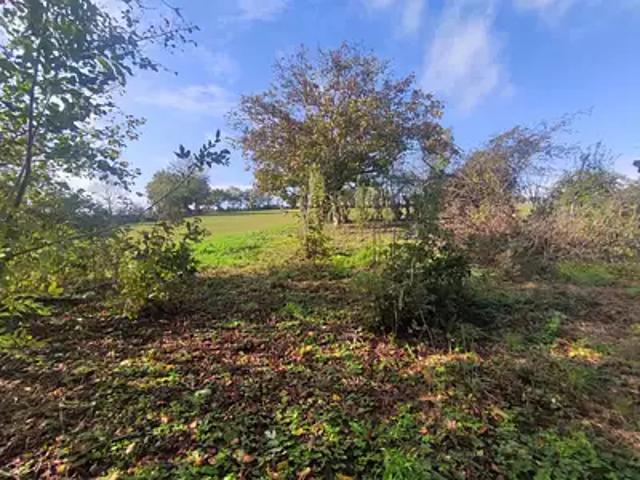 Le Busseau 79240 Achat / Vente maison