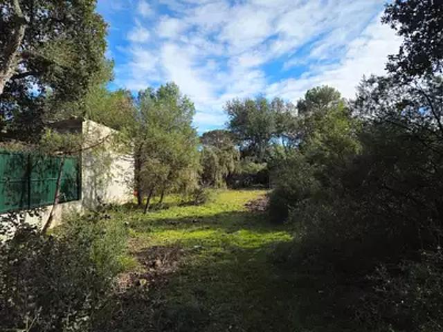 Le Cannet des Maures 83340 Programme neuf terrain neuf à vendre