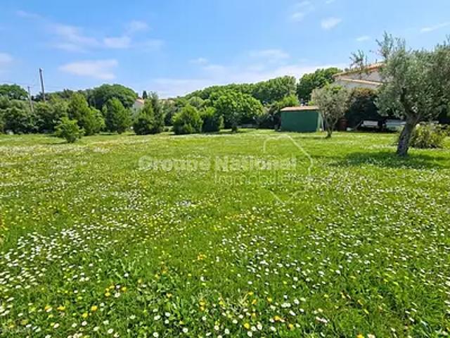 Le Cailar 30740 Achat / Vente terrain