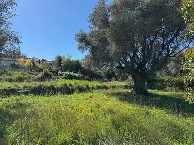 Le Castellet 83330 Programme neuf terrain neuf à vendre