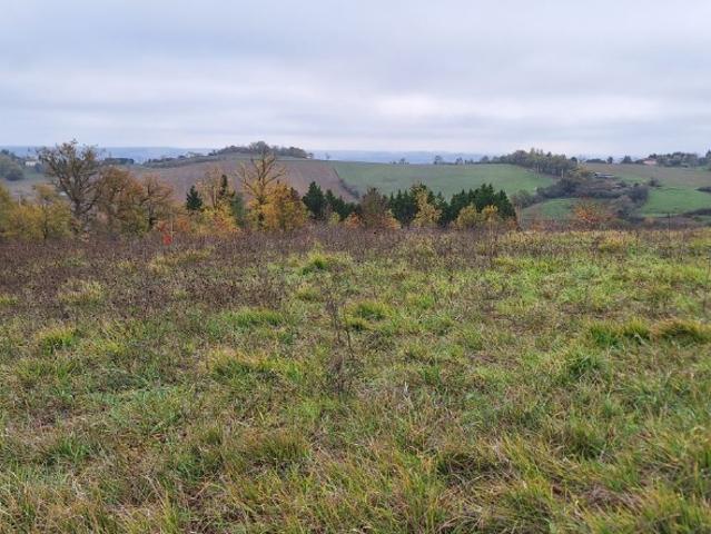 Le Castéra Vente Terrain 31
