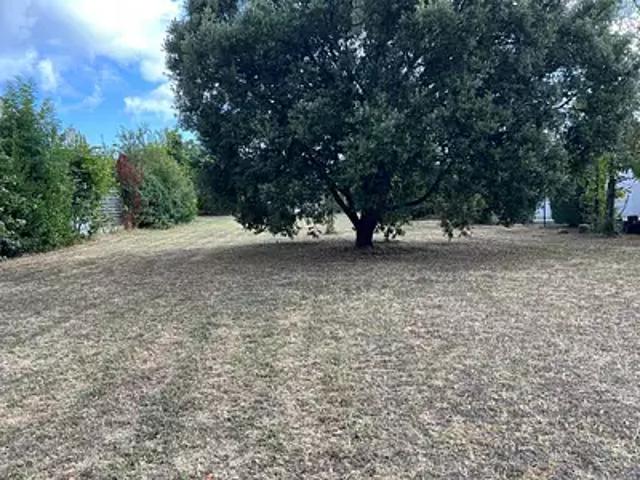 Le Château d'Oléron 17480 Achat / Vente terrain