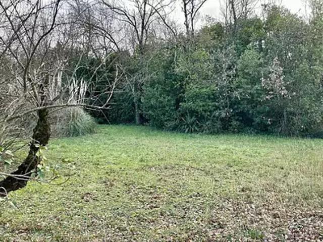 Le Château d'Oléron 17480 Achat / Vente terrain