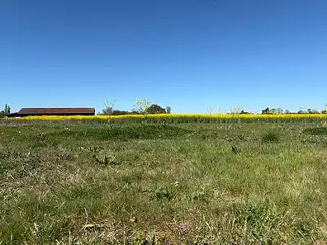 Le Châtelet en Brie 77820 Achat / Vente terrain