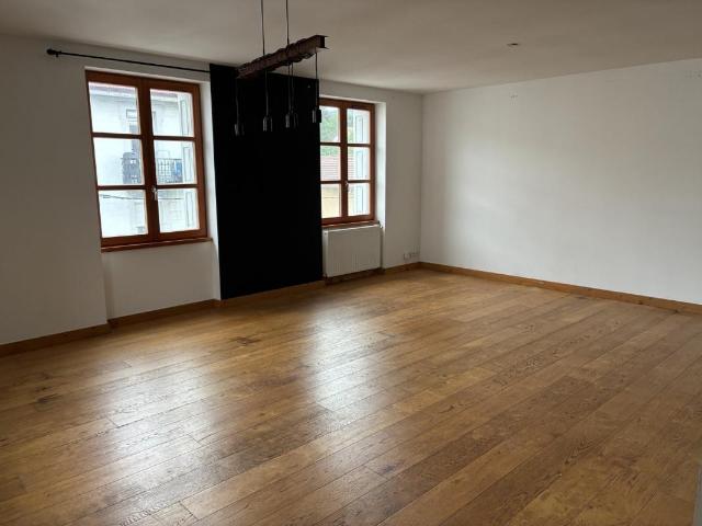 Le Chambon Feugerolles Location Duplex/triplex 42