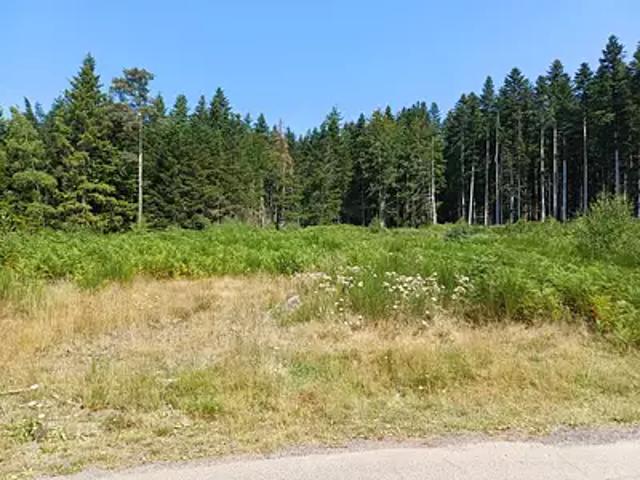 Le Chambon sur Lignon 43400 Achat / Vente terrain
