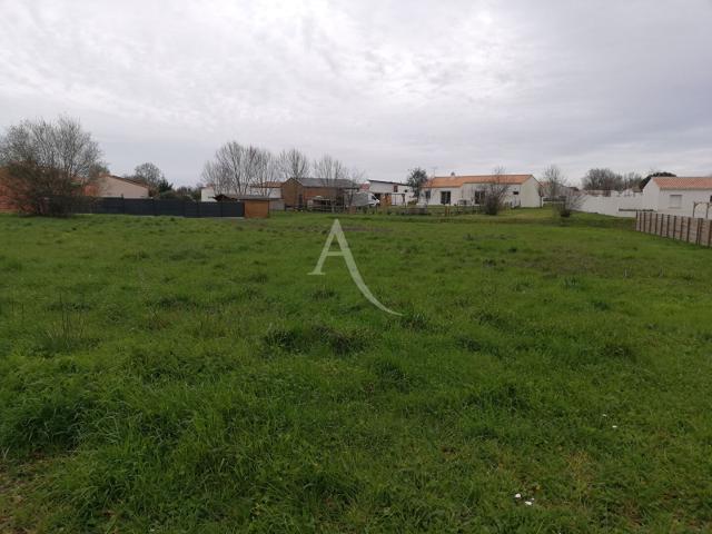 Le Champ Saint Père Vente Terrain 85