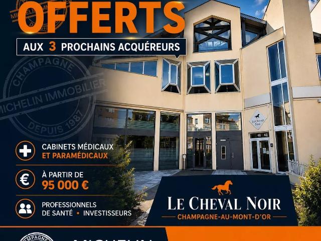 Le cheval noir