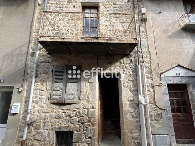 Le Cheylard Vente Immeuble 07