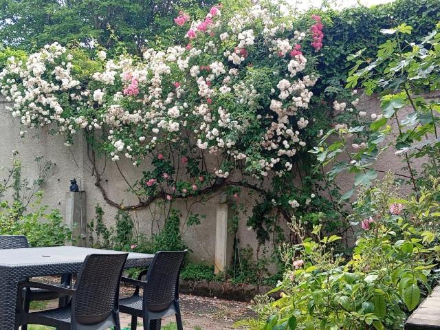 Le Chesnay Vente Maison 78