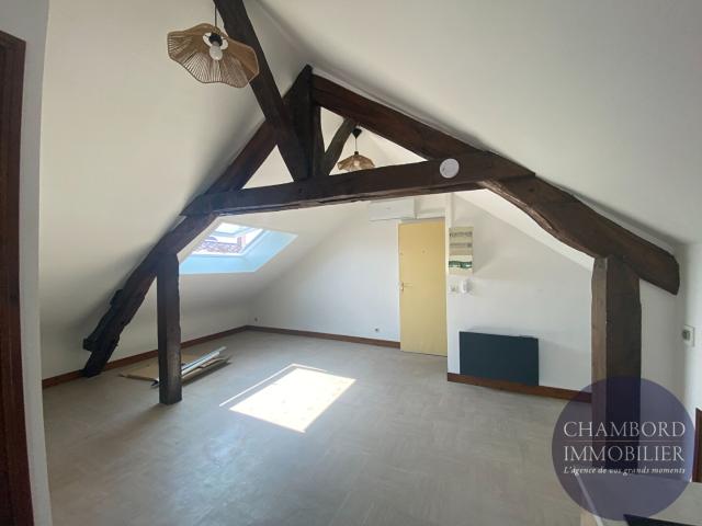 Le Controis en Sologne Location Appartement 41