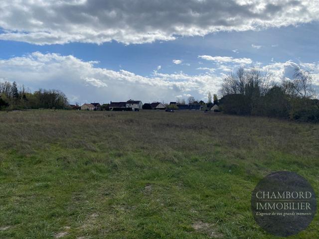 Le Controis en Sologne Vente Terrain 41