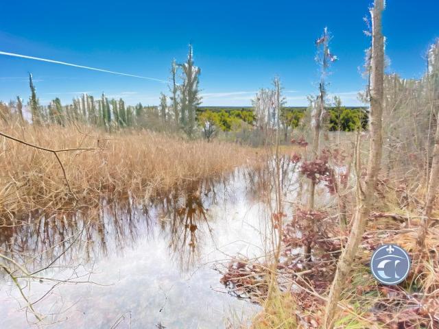 Le Controis en Sologne Vente Terrain 41