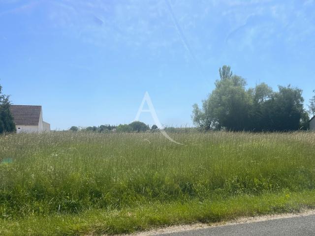 Le Controis en Sologne Vente Terrain 41