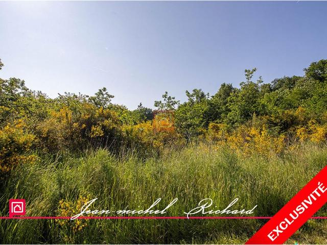 Le Controis en Sologne Vente Terrain 41