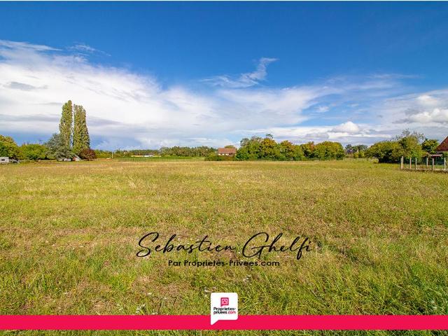 Le Controis en Sologne Vente Terrain 41