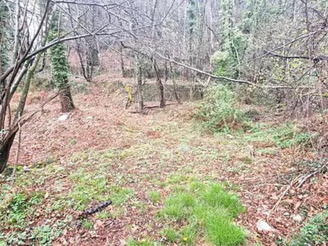 Le Collet de Dèze 48160 Achat / Vente terrain