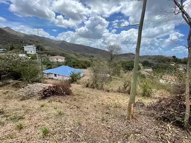 Le Diamant 97223 Achat / Vente terrain