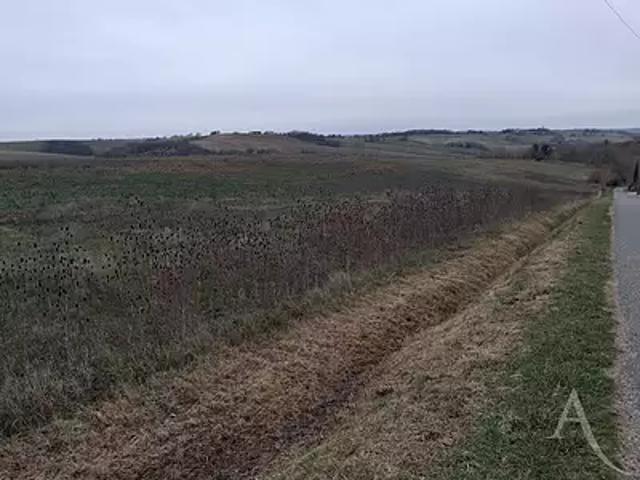 Le Faget 31460 Achat / Vente terrain