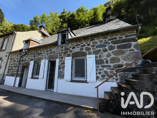 Le Falgoux Vente Maison 15