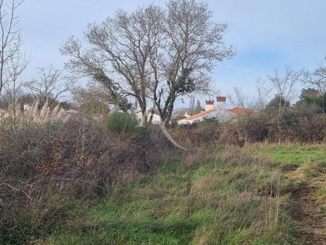 Le Fenouiller Vente Terrain 85