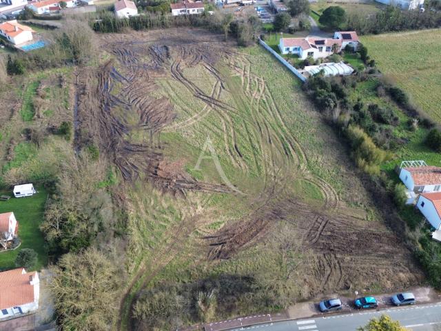 Le Fenouiller Vente Terrain 85