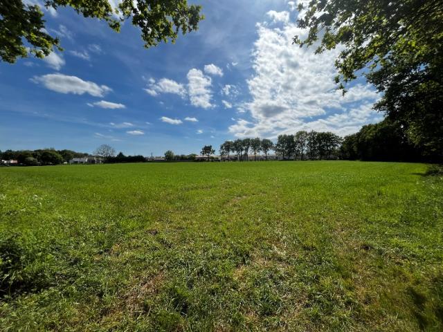 Le Fenouiller Vente Terrain 85