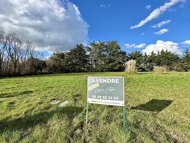 Le Fenouiller 85800 Achat / Vente terrain