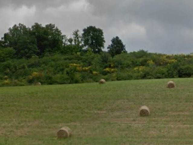 Le Fossat Vente Terrain 09