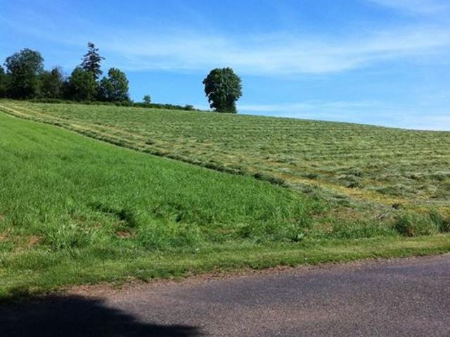 Le Fraysse Vente Terrain 81