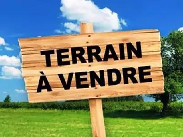 Le François 97240 Achat / Vente terrain