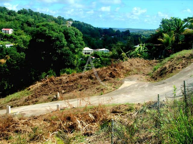 Martinique Vente Terrain 97