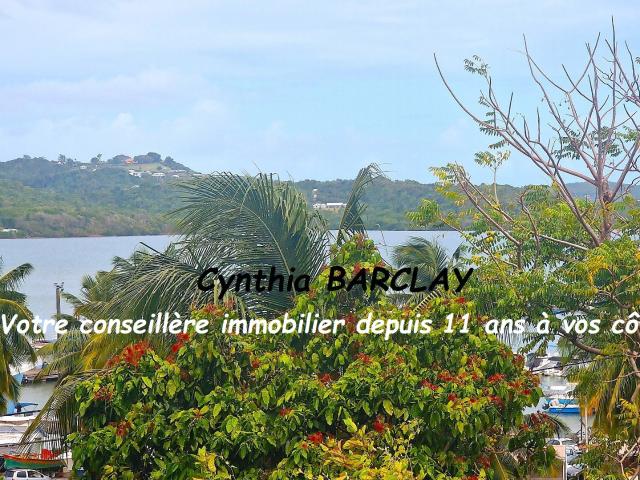 Le François Vente Maison 97