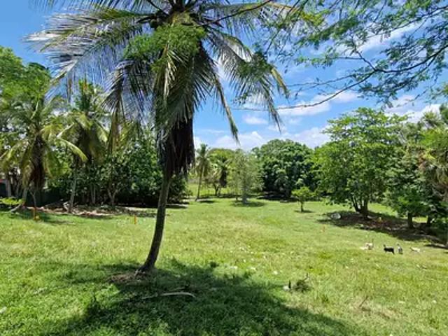 Le Gosier 97190 Achat / Vente terrain