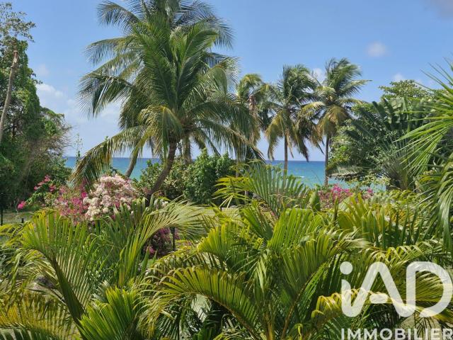 Le Gosier Vente Appartement 97