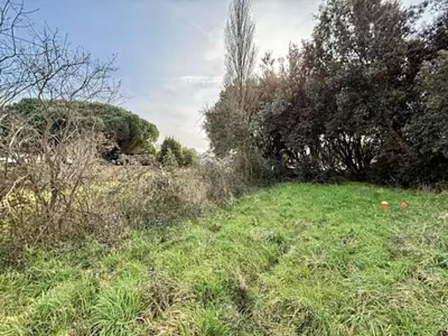 Le Grand Village Plage 17370 Achat / Vente terrain