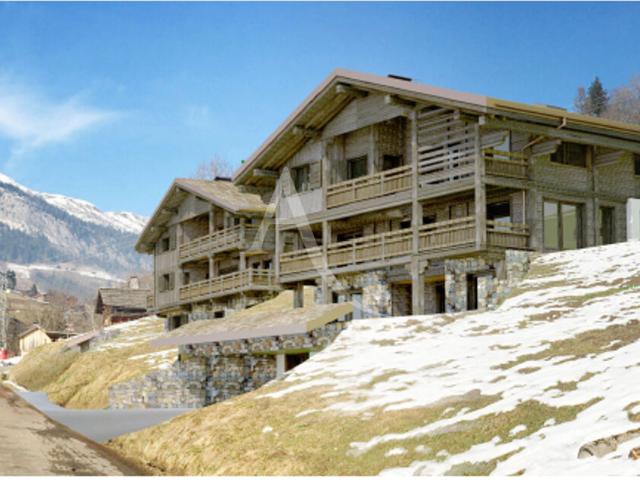 Le Grand Bornand Vente Terrain 74