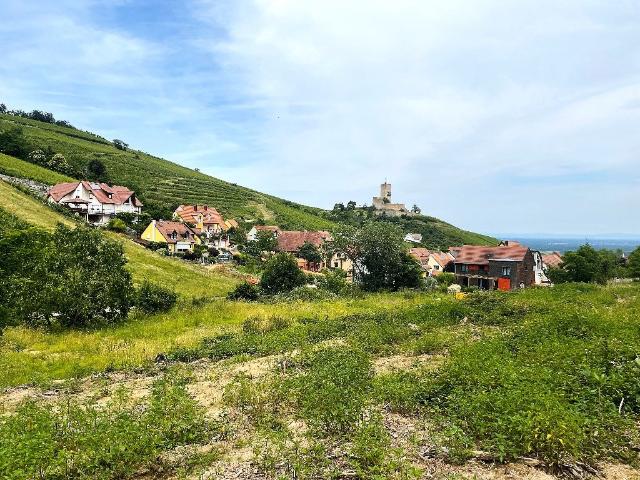 Le Hamo du Wineck 4 pièces, 89 à 99 m²