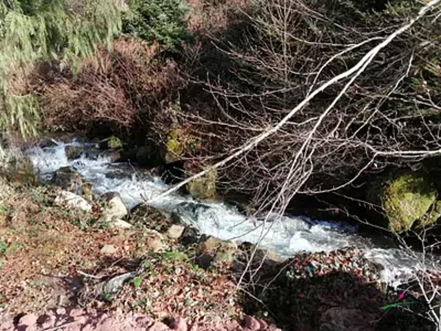 Le Hohwald 67140 Achat / Vente terrain