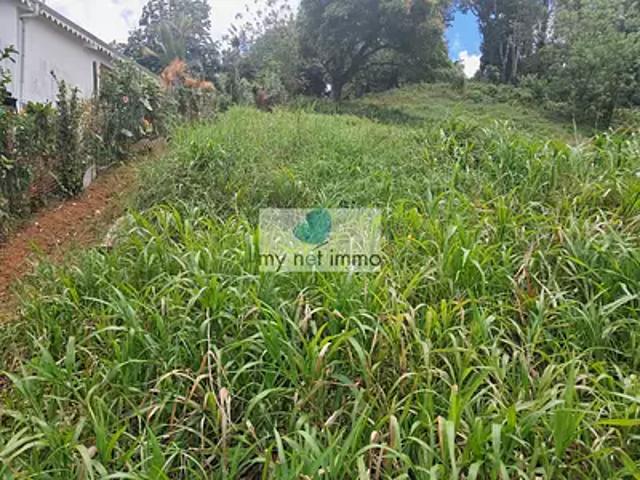 Le Lamentin 97232 Achat / Vente terrain