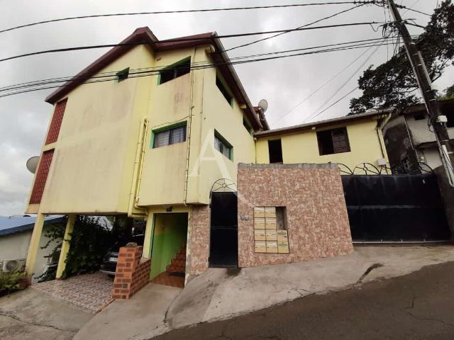 Le Lamentin Location Appartement 97